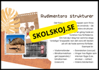 Grundläggande evolution - Årskurs 6 - 9