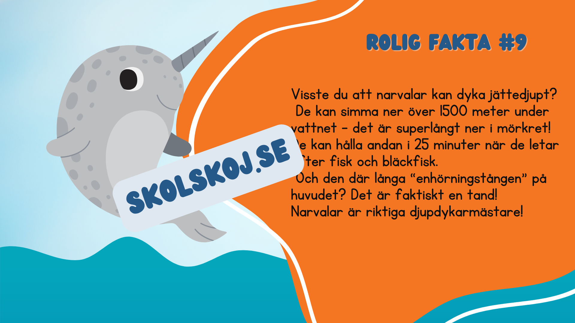Roliga havsdjursfakta + roliga uppgifter