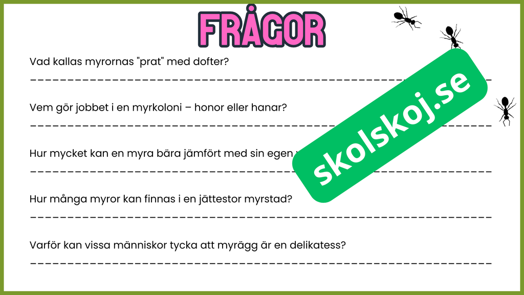 7 superroliga saker du inte visste om myror