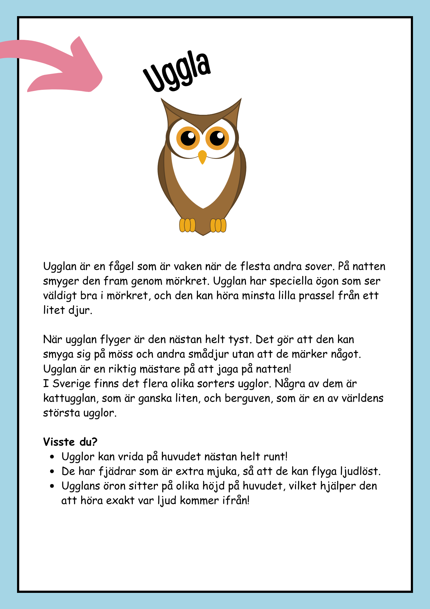 Skogens djur - Fakta och läsförståelse (19 sidor)