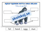 Hjälp djuren hitta sina delar - Häfte