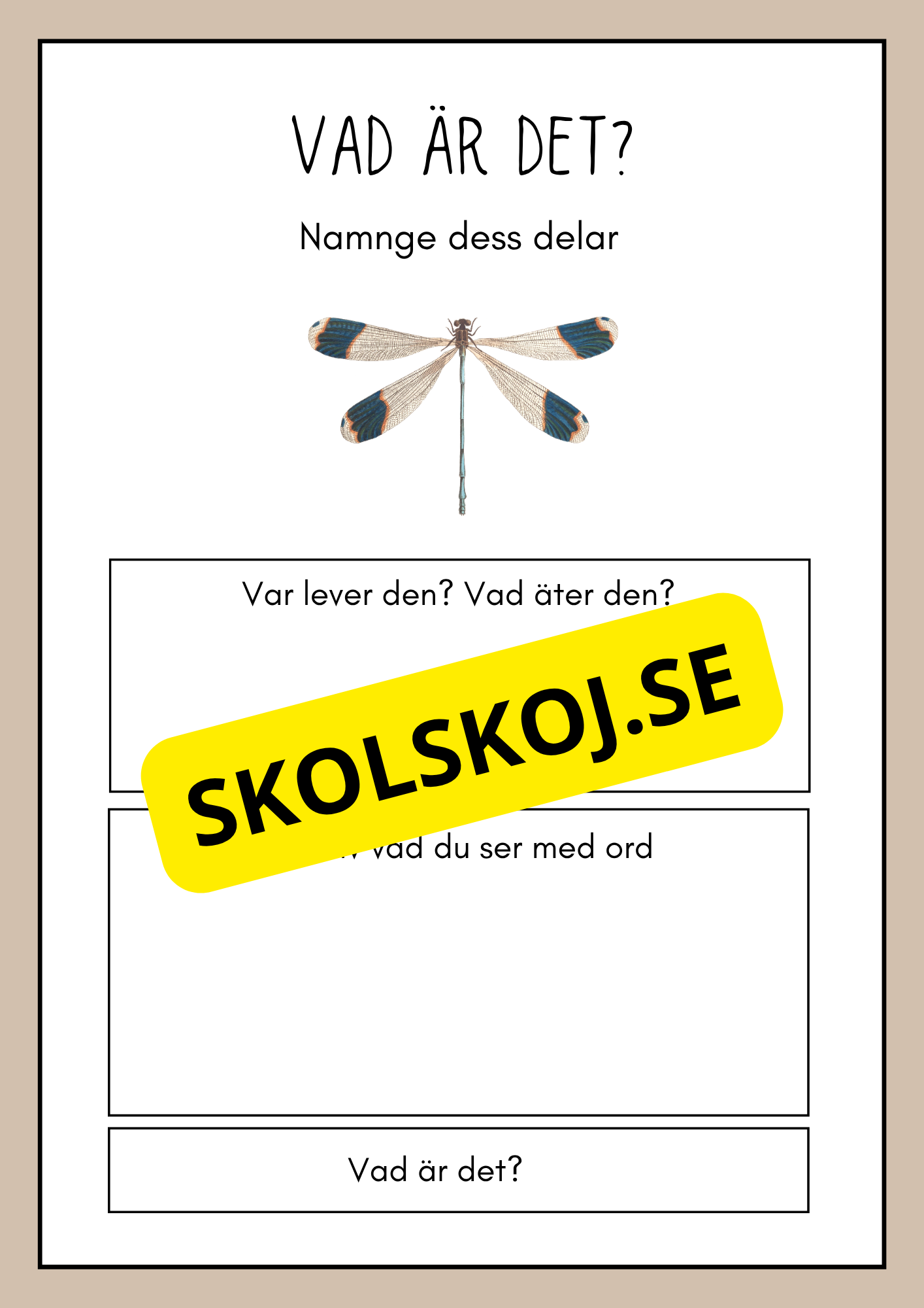 Vad är det? - Insekter - Faktabok