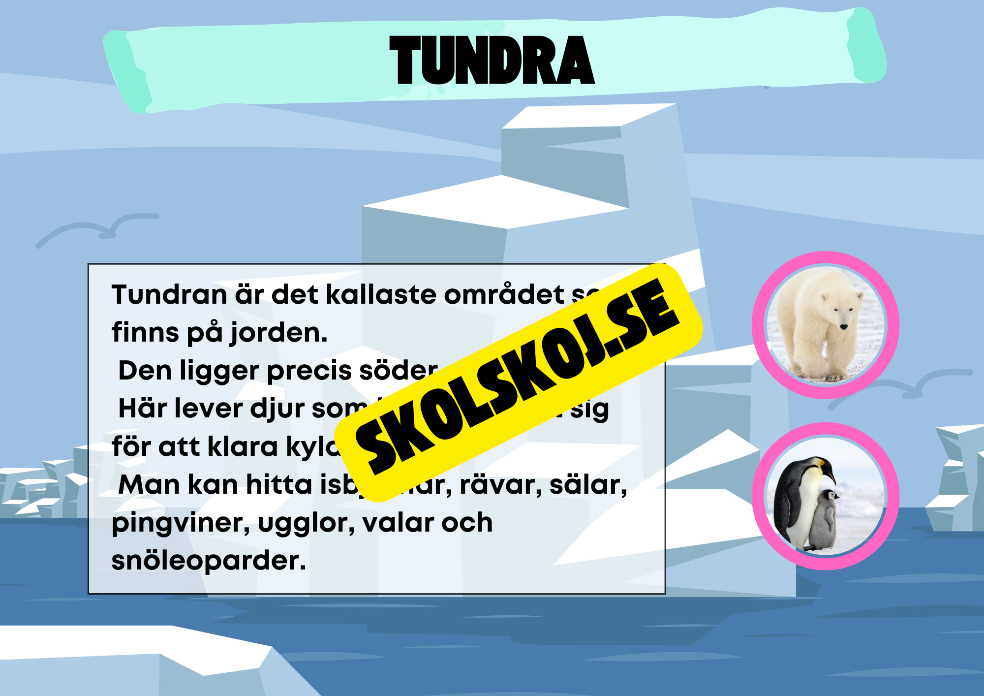 Kort fakta om naturmiljöer och djurens hem + frågor