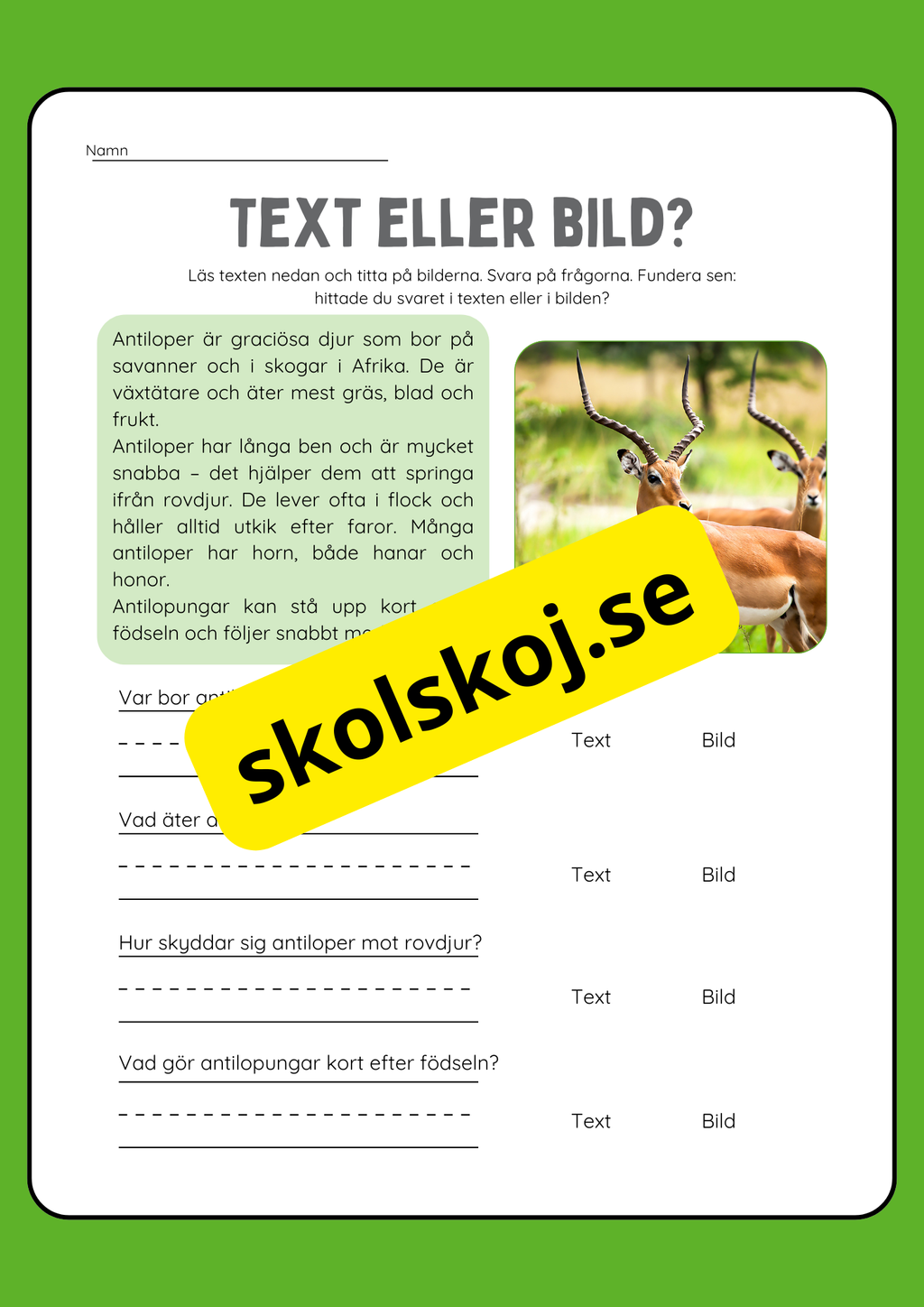 Text eller bild - Läsförståelse