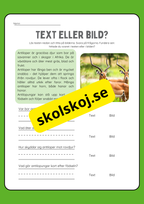 Text eller bild - Läsförståelse