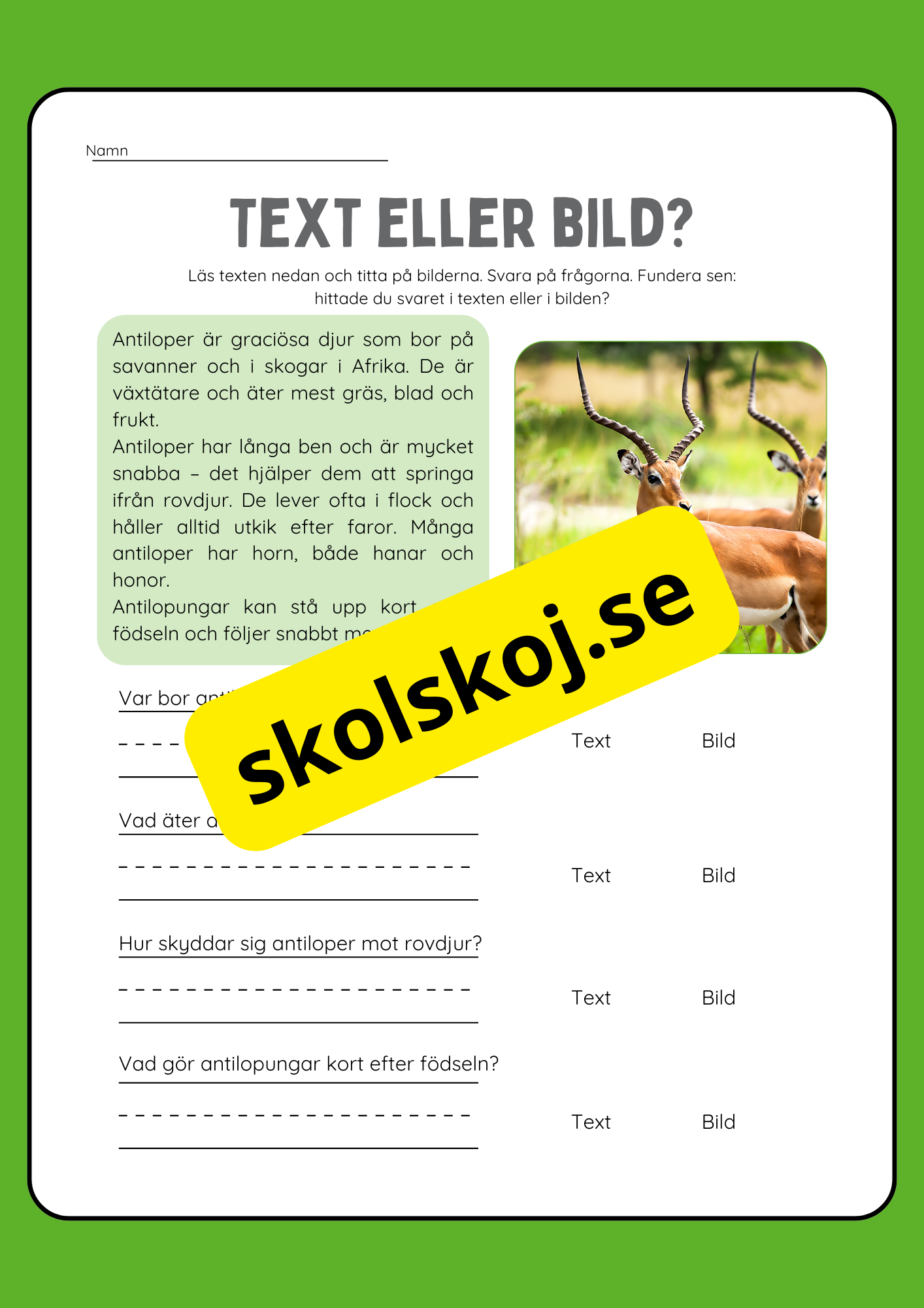 Text eller bild - Läsförståelse