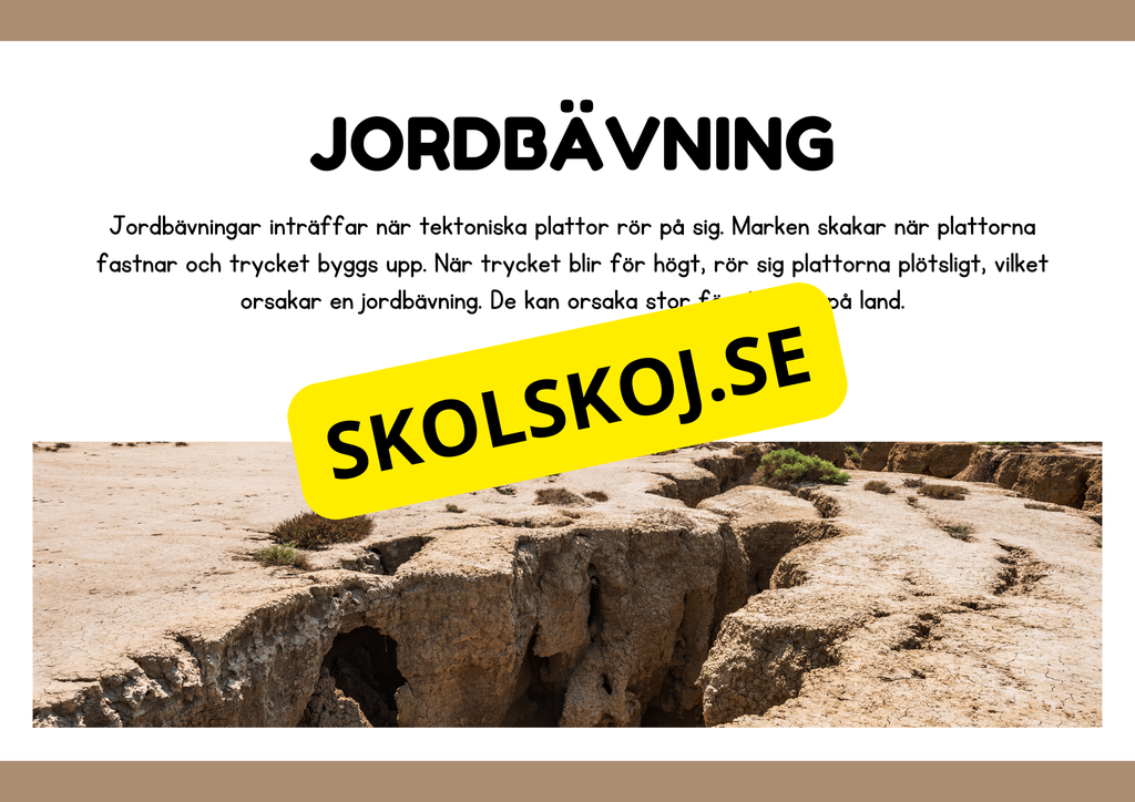 Naturliga katastrofer - Läsförståelse