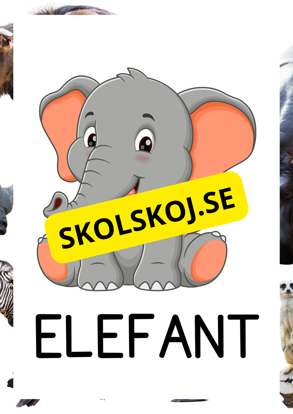 Vilda djur - Bildkort