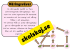 Näringskedjor - Ekosystem och livsmiljöer