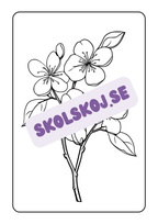 Blommor - Målarbok