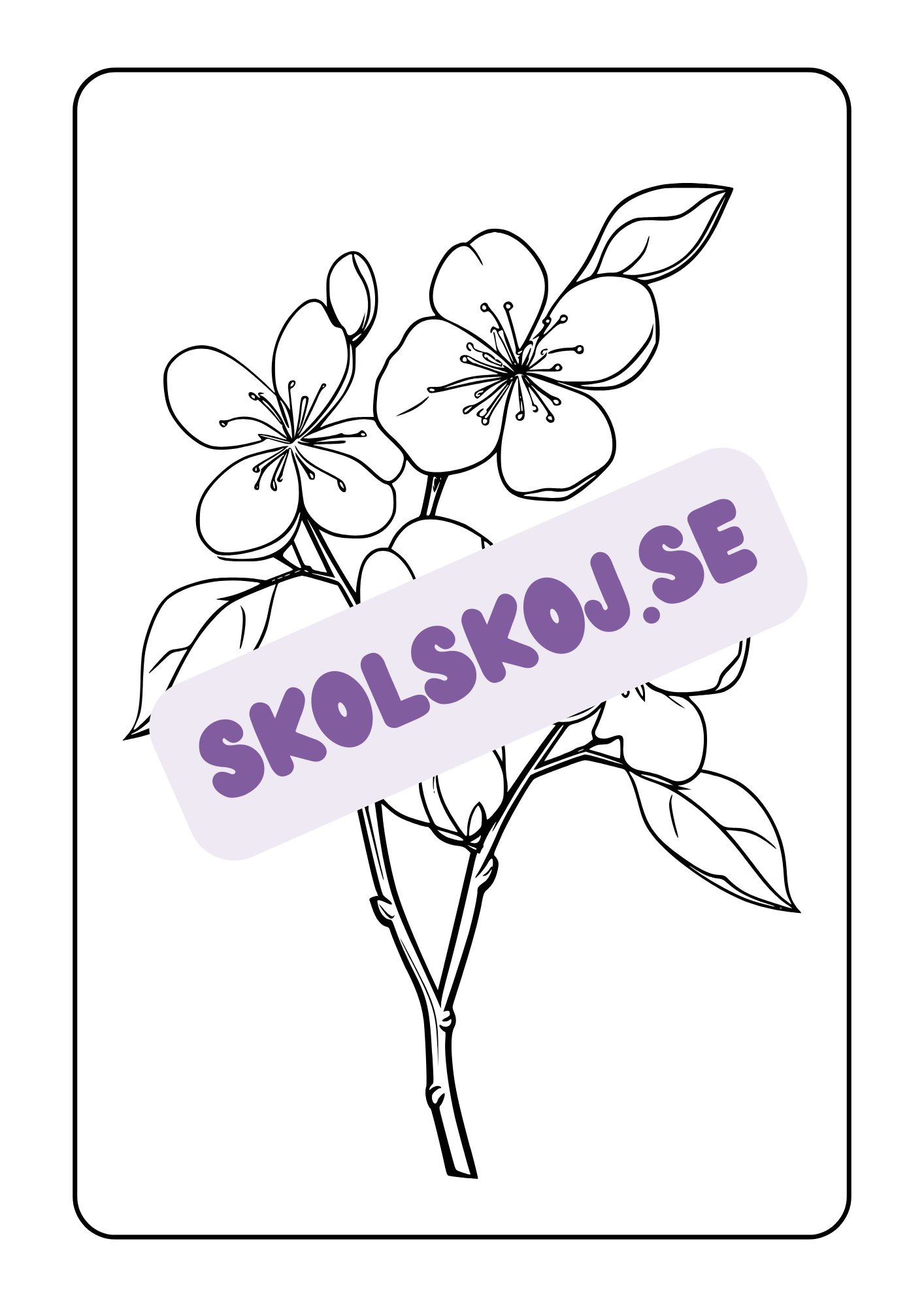 Blommor - Målarbok