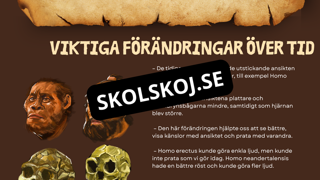 Människans utveckling - Fakta - Presentation - Frågor