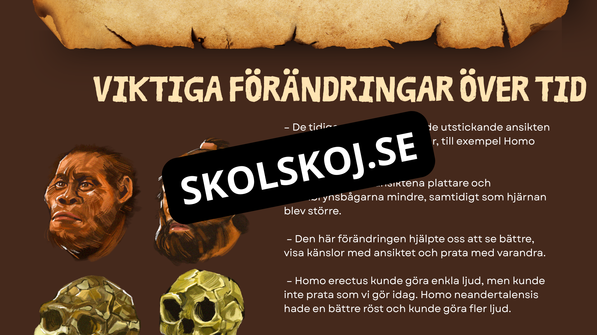 Människans utveckling - Fakta - Presentation - Frågor