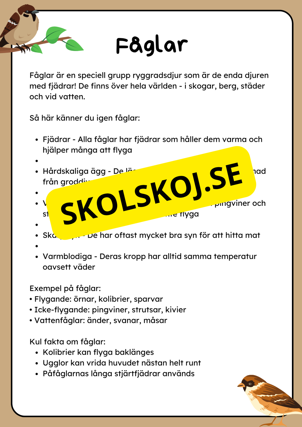 Klassificering av djur - Fakta och uppgifter - Åk 3 - 6