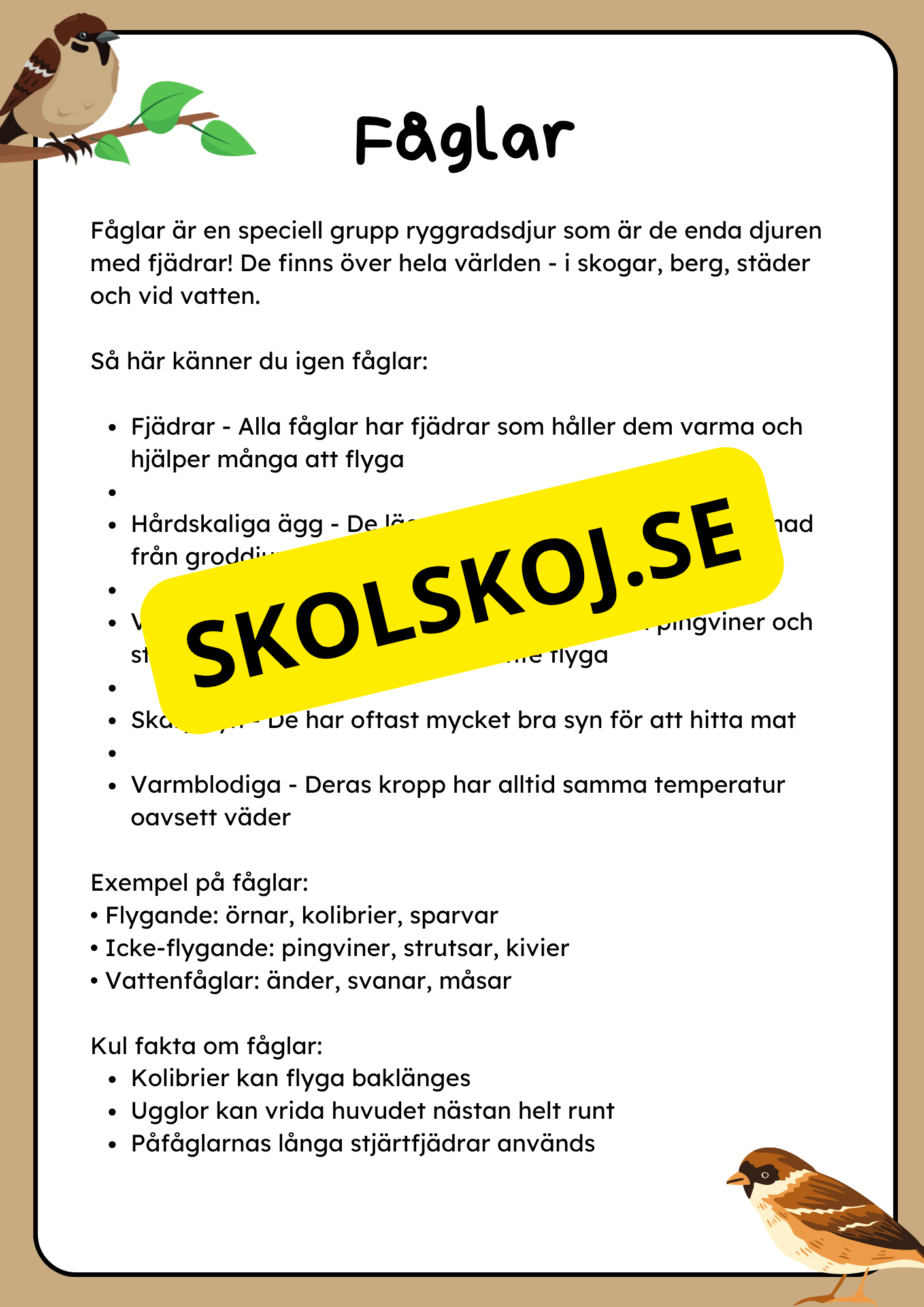 Klassificering av djur - Fakta och uppgifter - Åk 3 - 6