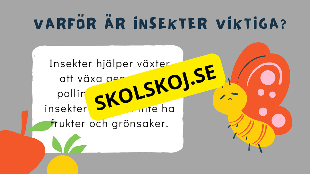 Upptäck insekternas värld - Häfte
