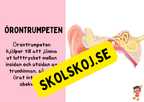 Örats delar - Presentation + Frågor