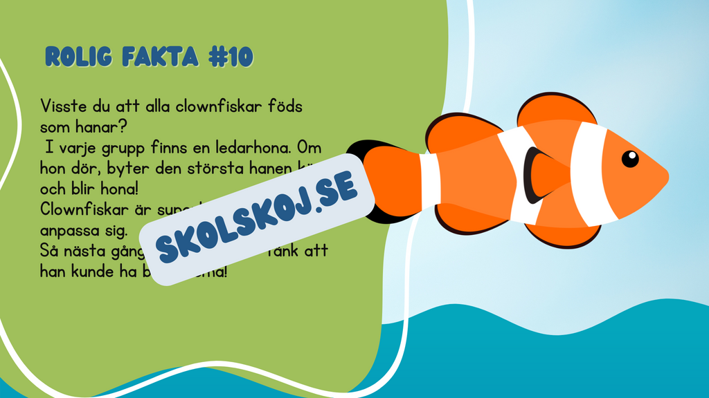 Roliga havsdjursfakta + roliga uppgifter