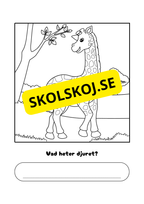 Vad heter djuret?