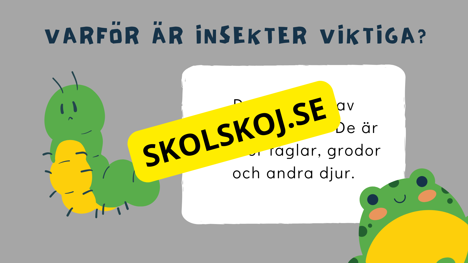 Upptäck insekternas värld - Häfte