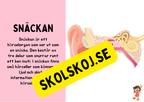 Örats delar - Presentation + Frågor