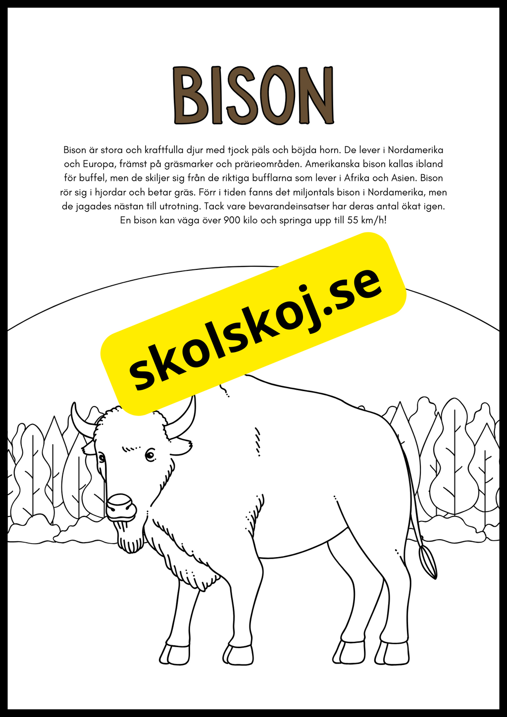Vilda djur fakta och målarbilder