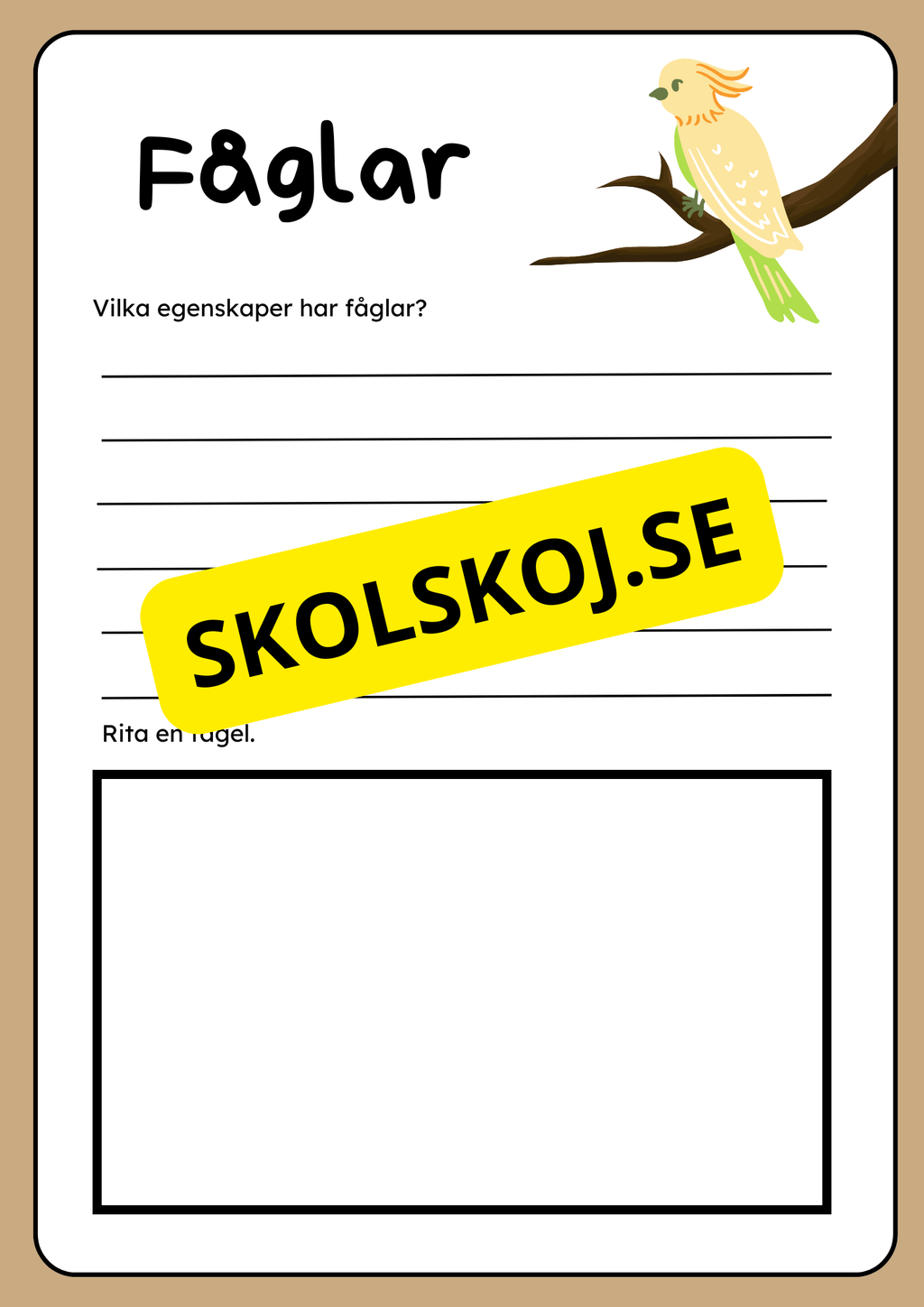 Klassificering av djur - Fakta och uppgifter - Åk 3 - 6