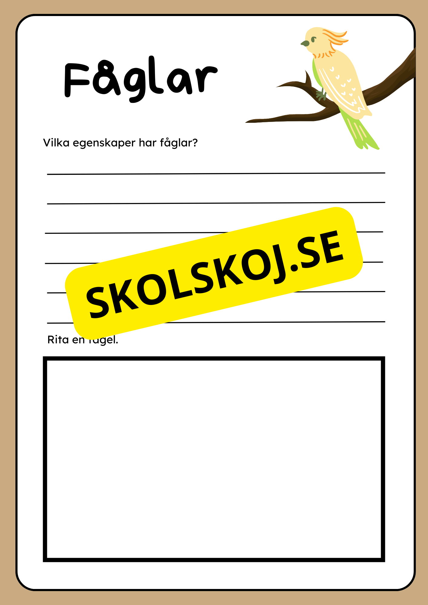 Klassificering av djur - Fakta och uppgifter - Åk 3 - 6