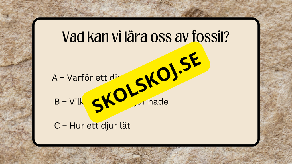 Fossiler - Åk 4 - 9