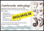 Grundläggande evolution - Årskurs 6 - 9
