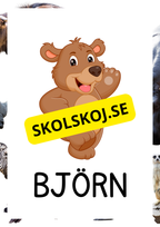 Vilda djur - Bildkort