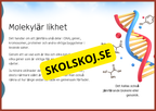 Evolution - Faktatext + frågor