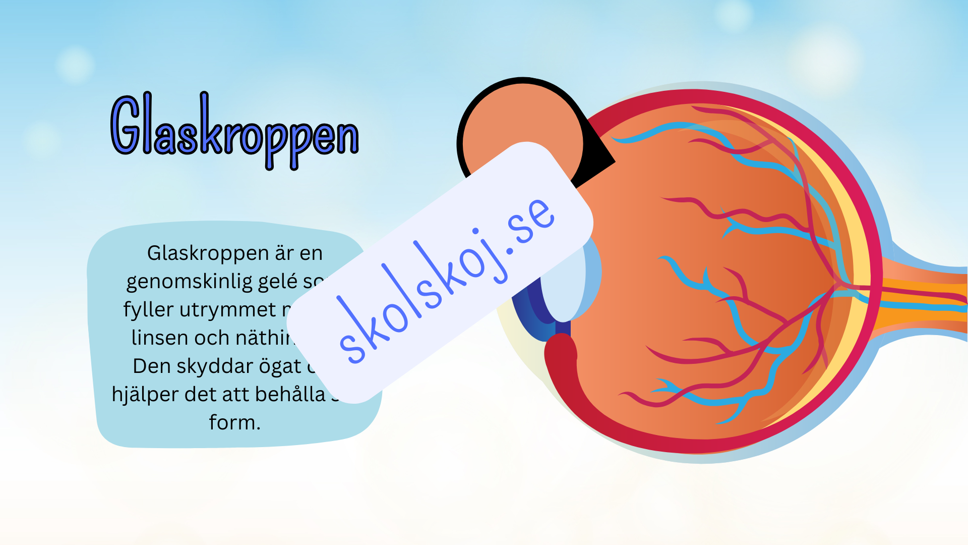 Så fungerar ögat - Presentation + frågor - Åk 4 - 6
