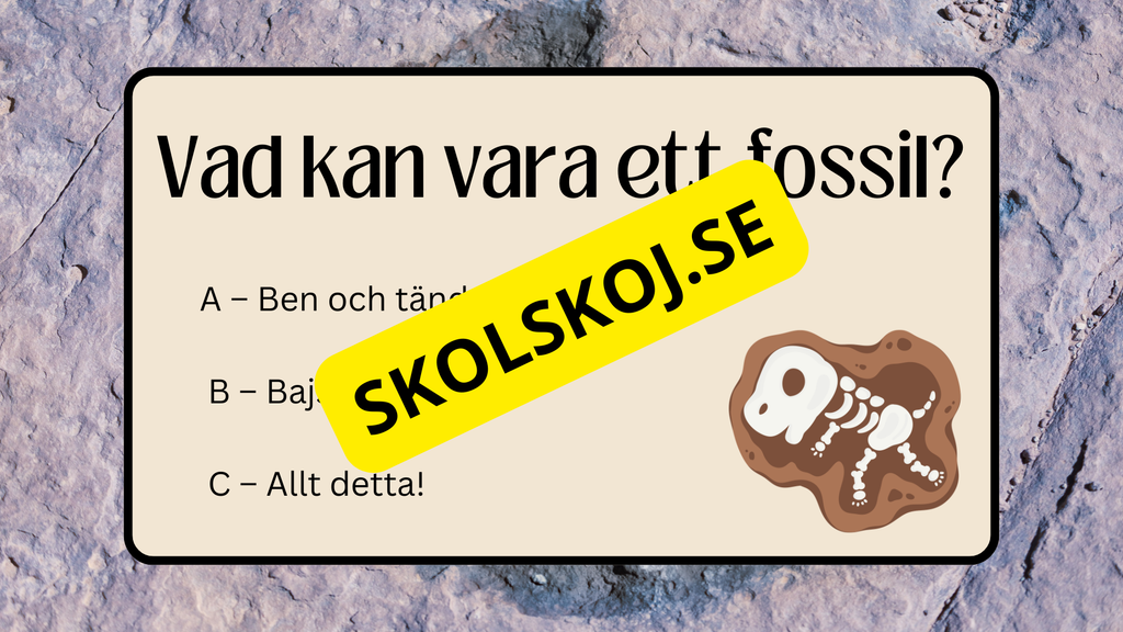 Fossiler - Åk 4 - 9