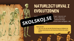 Människans utveckling - Fakta - Presentation - Frågor