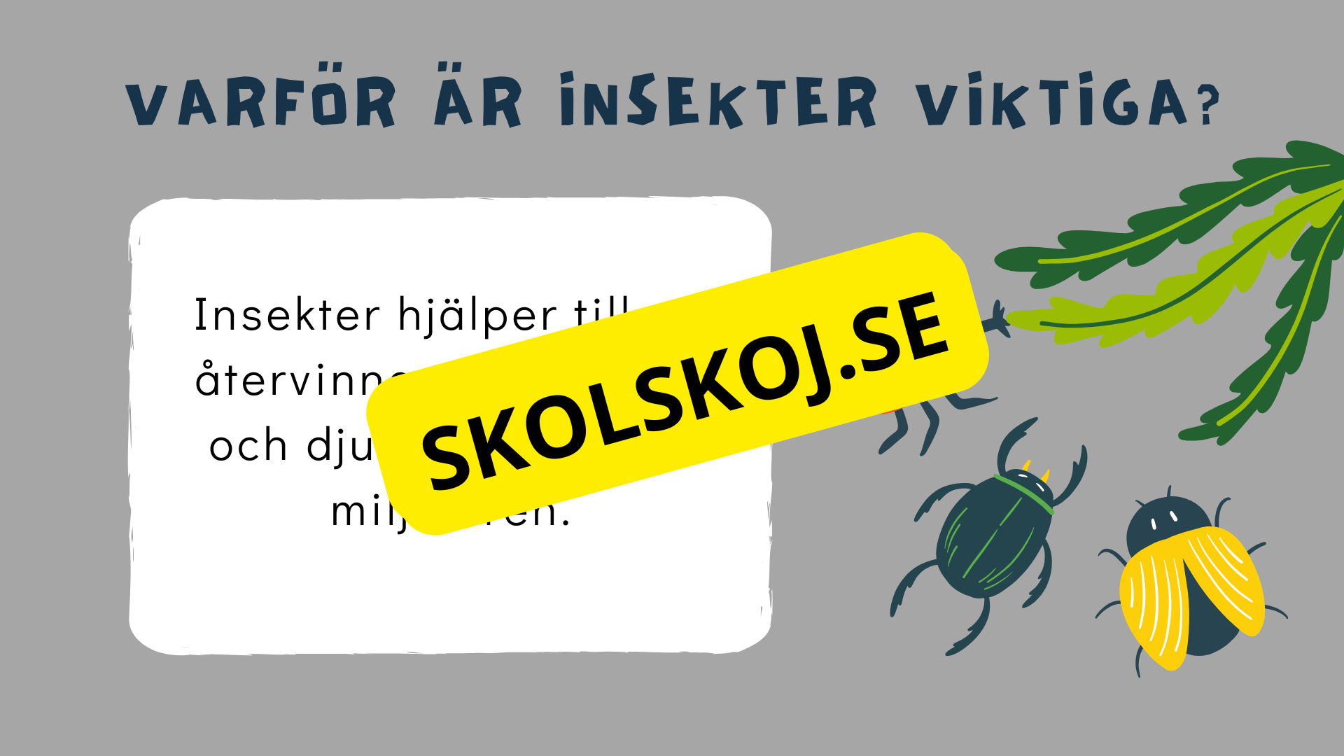 Upptäck insekternas värld - Häfte