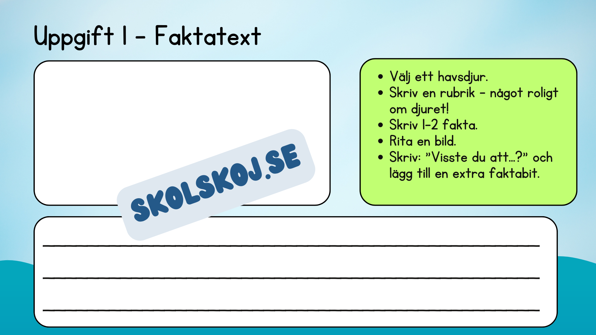 Roliga havsdjursfakta + roliga uppgifter