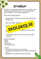 Klassificering av djur - Fakta och uppgifter - Åk 3 - 6