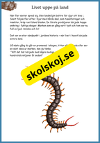 Livets fantastiska resa på jorden - Fakta + frågor - Åk 4 - 6