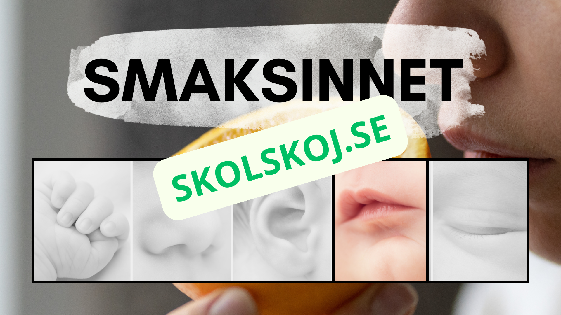 Våra fem sinnen - Presentation