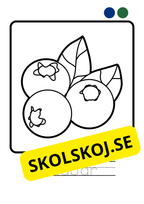 Målarbok - Frukter