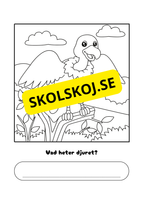 Vad heter djuret?