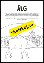 Vilda djur fakta och målarbilder