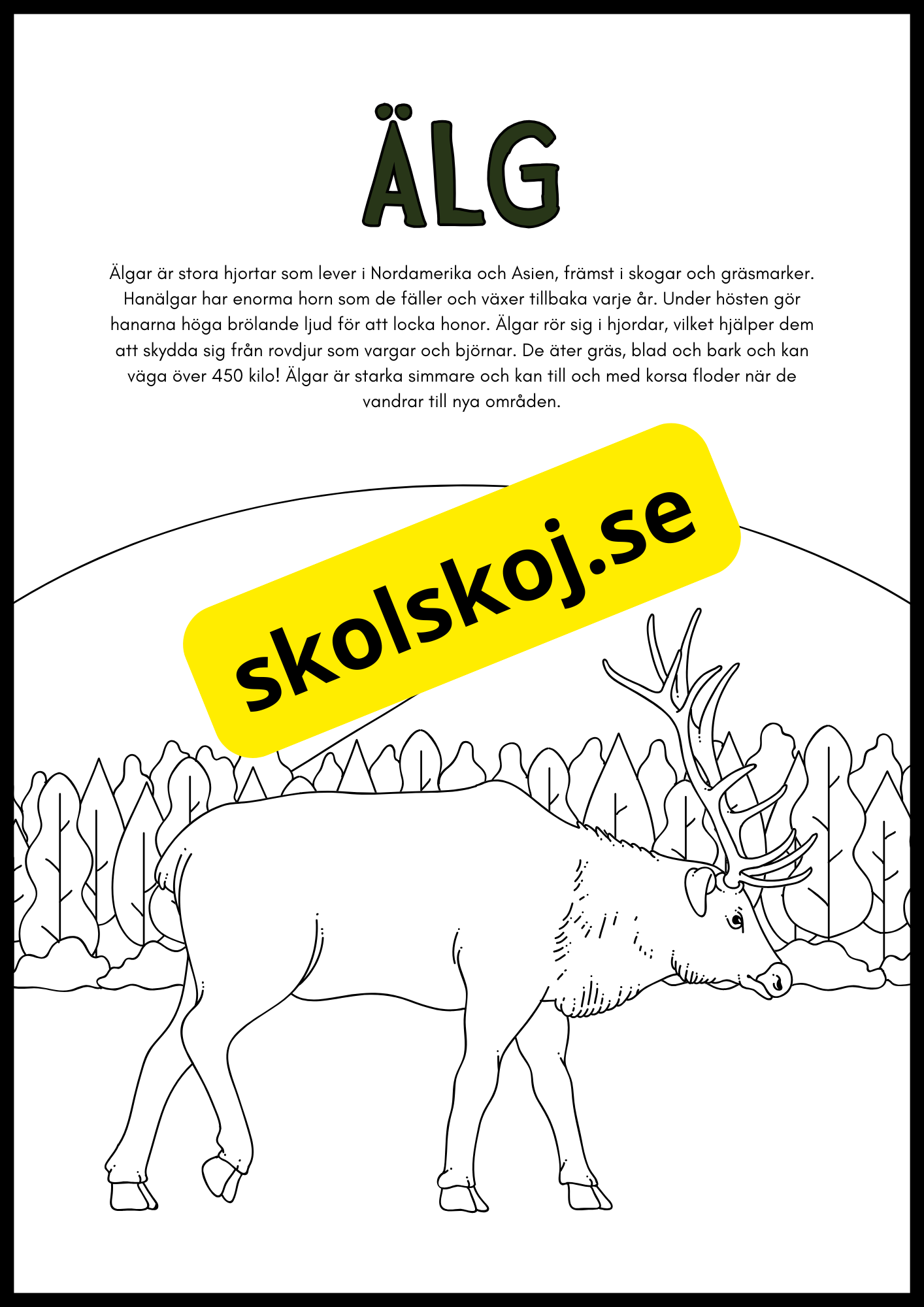 Vilda djur fakta och målarbilder