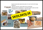 Grundläggande evolution - Årskurs 6 - 9
