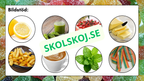 Våra fem sinnen - Presentation