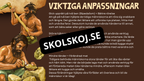 Människans utveckling - Fakta - Presentation - Frågor