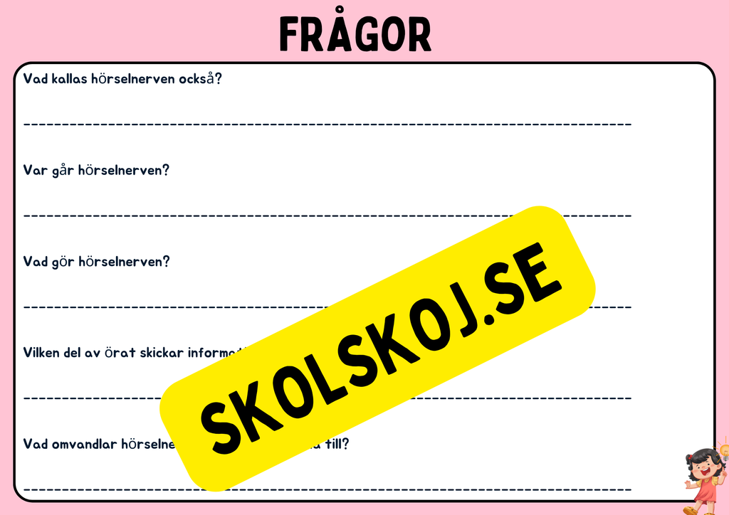 Örats delar - Presentation + Frågor