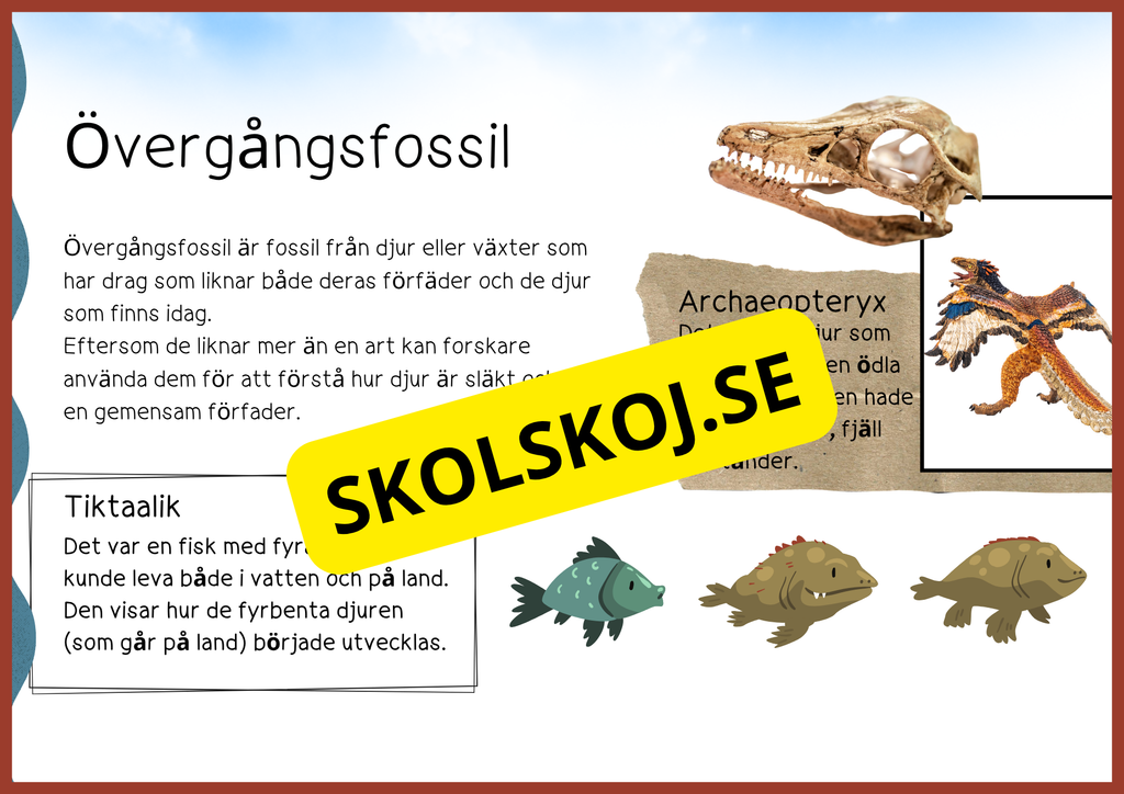 Evolution - Faktatext + frågor