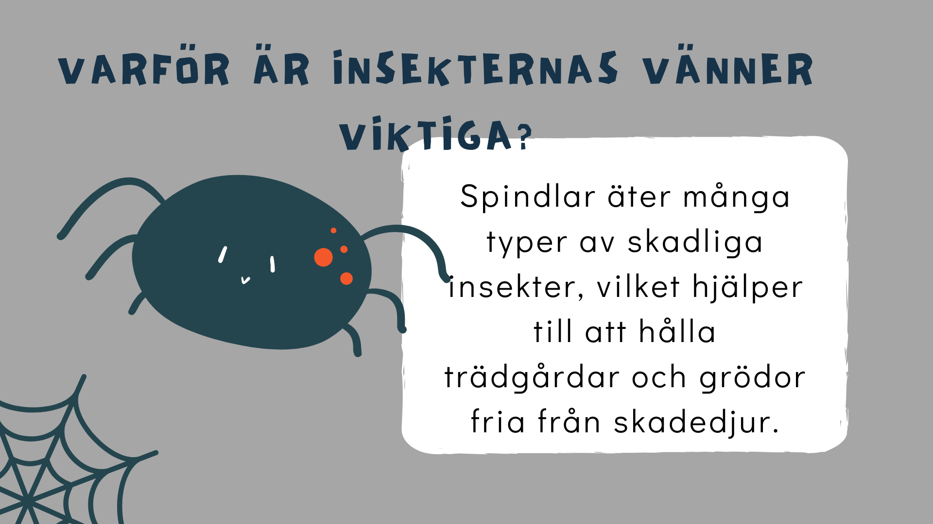 Upptäck insekternas värld - Häfte